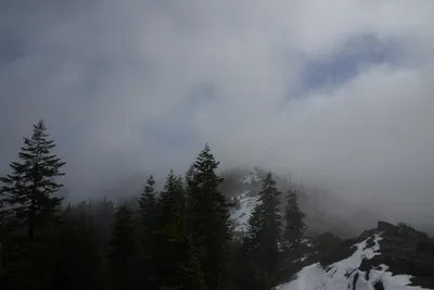 DSC_0873 (Large).JPG